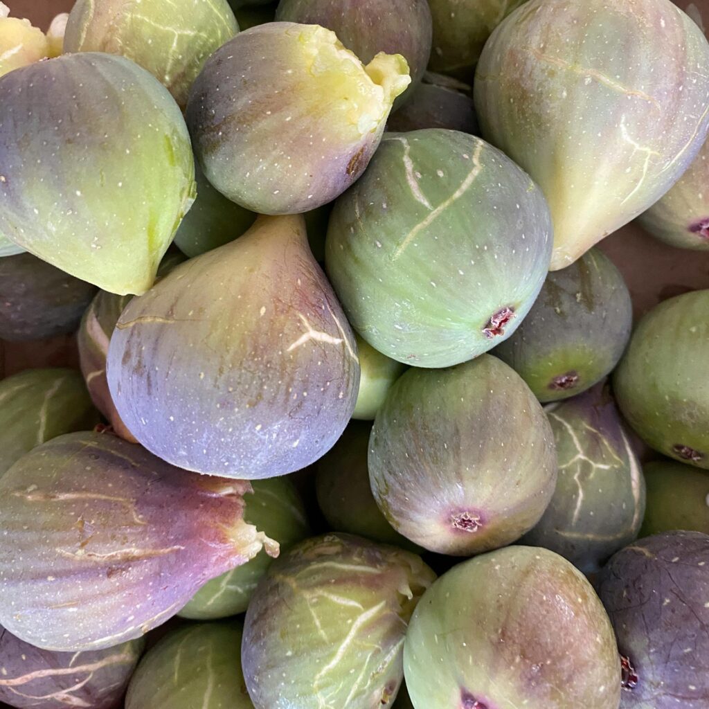 Close-up photo of fresh figs