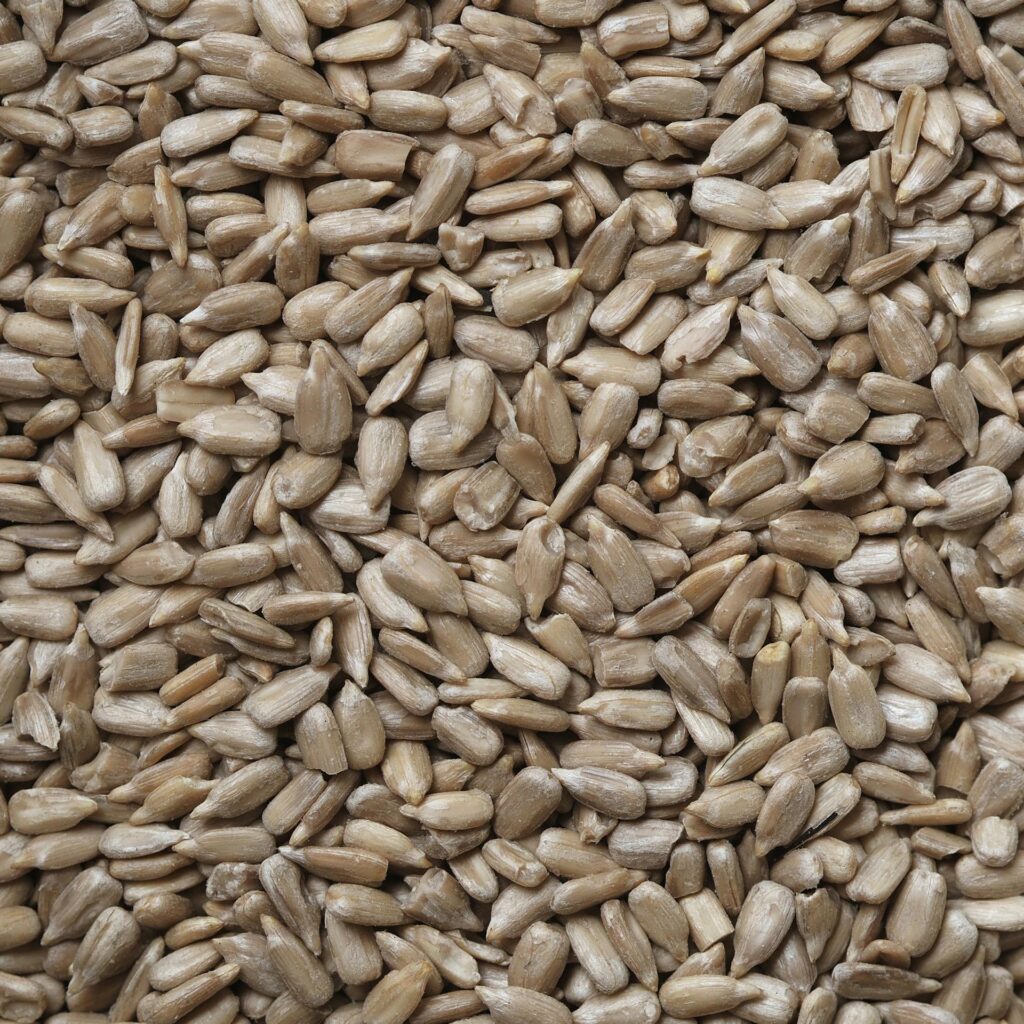 close-up photo of shelled sunflower seeds